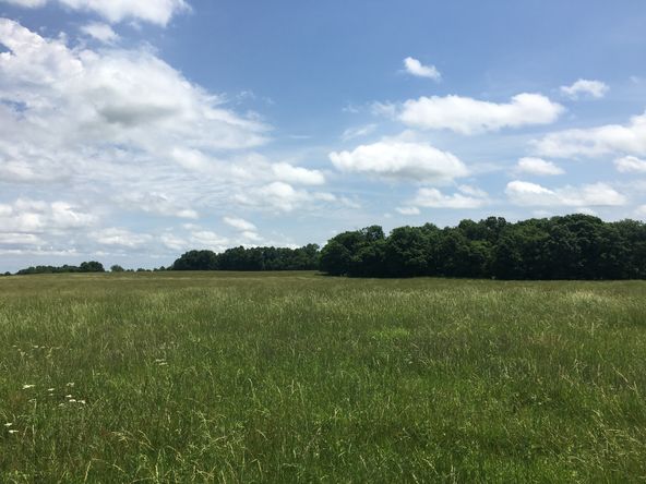 4897 & 4878 Norman Drive, Hartville, MO 65667